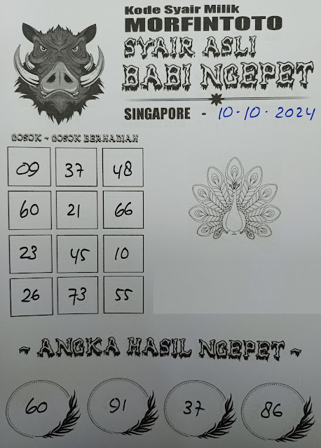 SYAIR SGP VIP